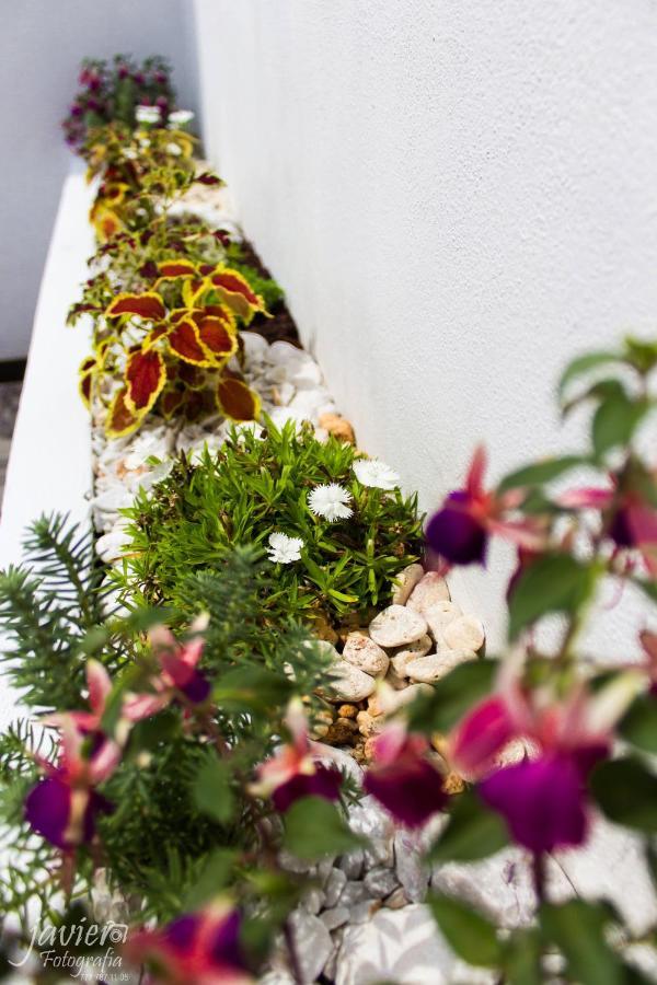 Aparthotel Lofts En Cuernavaca Con Alberca Climatizada Exteriér fotografie